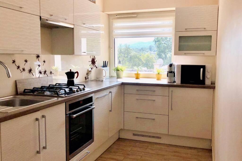 Mieszkanko W Cieplicach Jelenia Gora Bagian luar foto